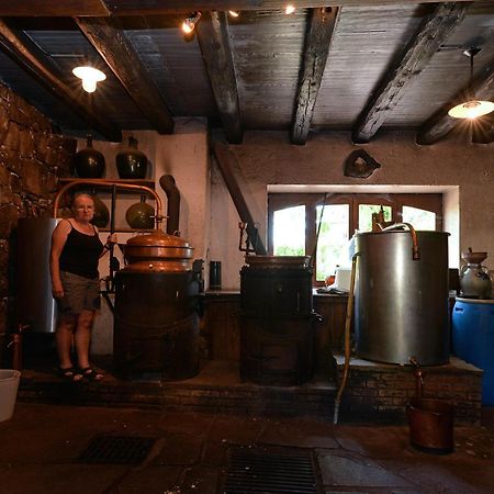 S'Harzala Vert Bis Bergheim Extérieur photo