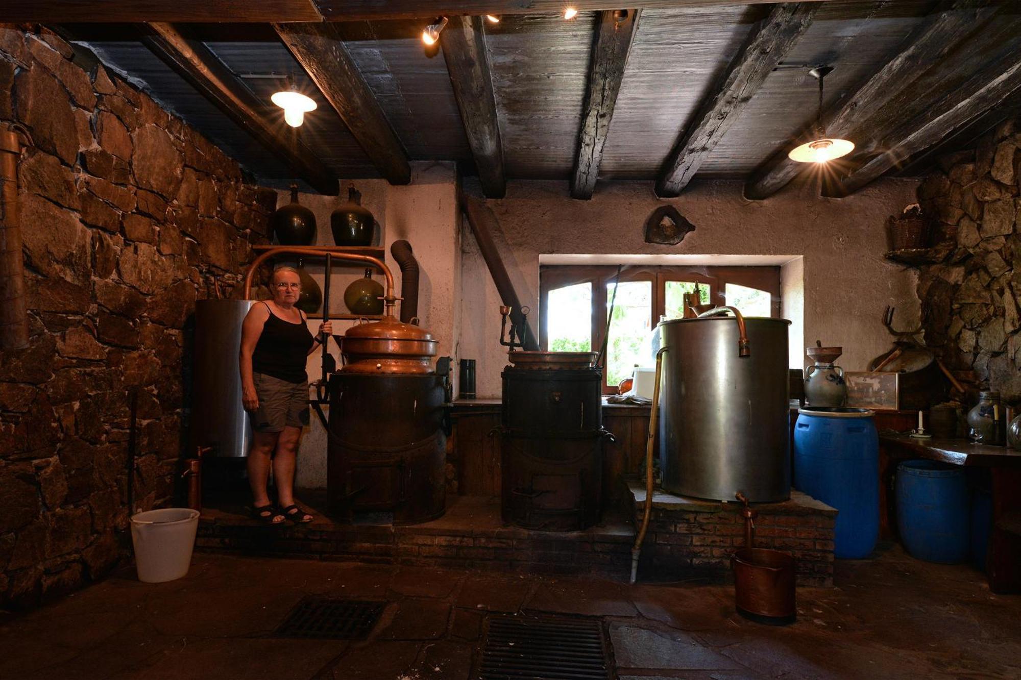 S'Harzala Vert Bis Bergheim Extérieur photo