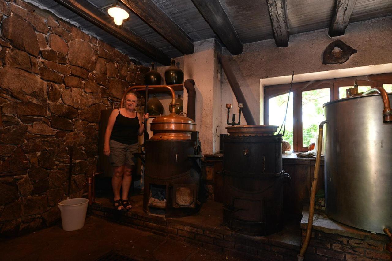 S'Harzala Vert Bis Bergheim Extérieur photo